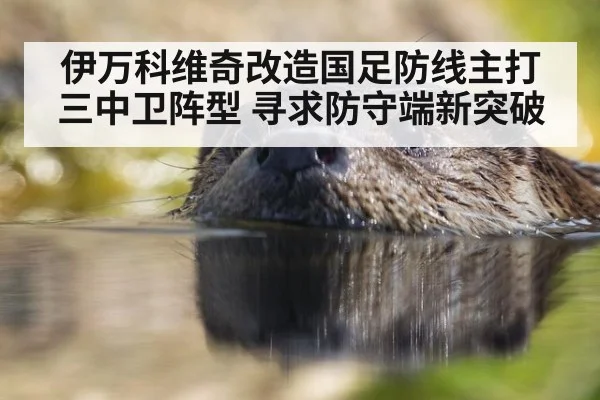 伊万科维奇改造国足防线主打三中卫阵型 寻求防守端新突破