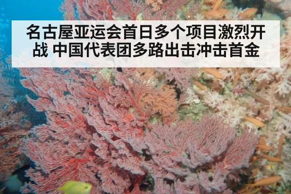 名古屋亚运会首日多个项目激烈开战 中国代表团多路出击冲击首金
